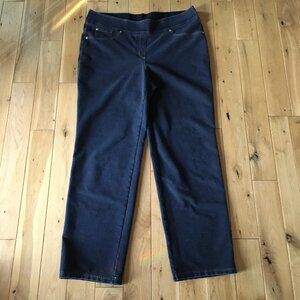 Nygard SLIMS Indigo Denim Stretchy Pull On Jeggings 1X